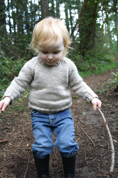 Load image into Gallery viewer, Child's Classic Raglan Pullover