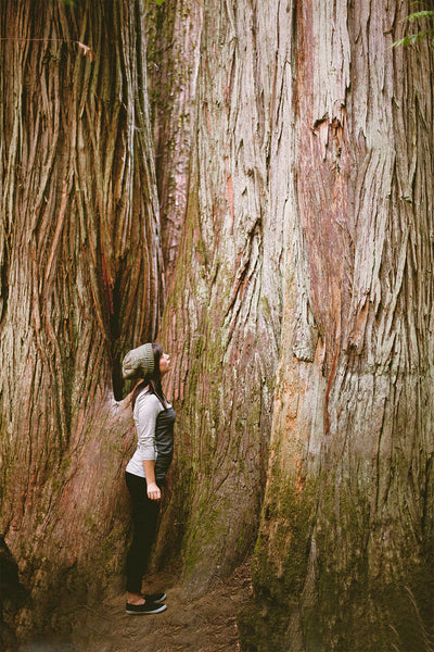 Load image into Gallery viewer, Renfrew Hat