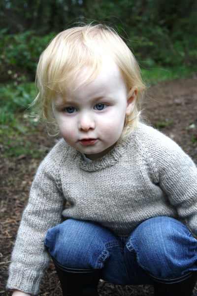 Load image into Gallery viewer, Child&#39;s Classic Raglan Pullover
